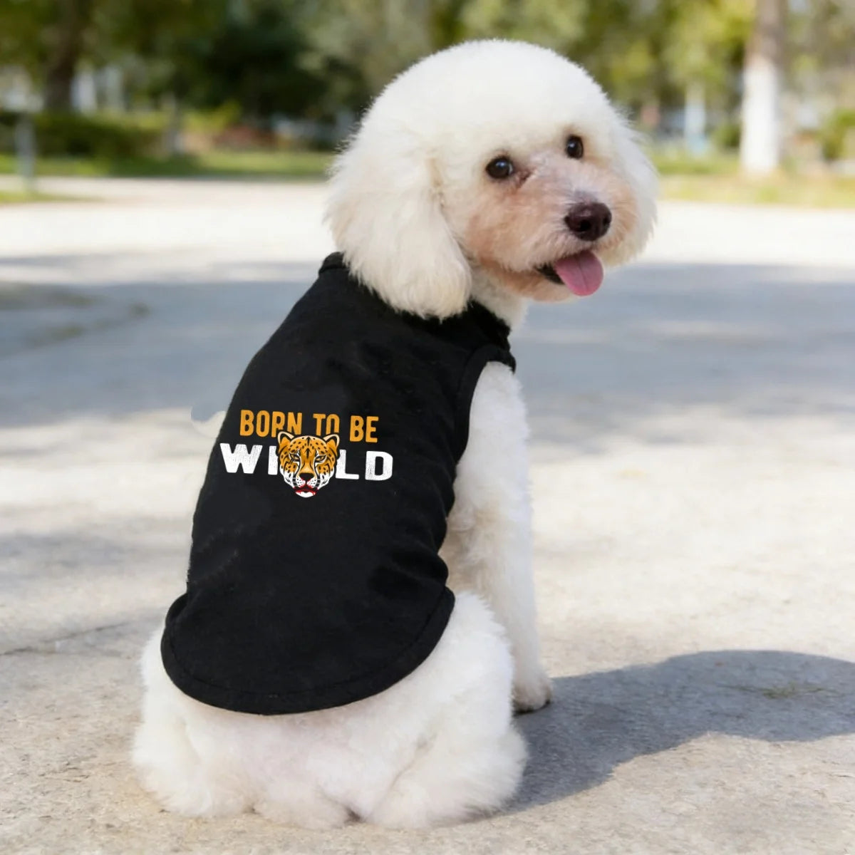 1pc Fashion Printed Pet T-shirt, Made of Polyester Fiber Material, Suitable for Indoor and Outdoor Leisure, Entertainment