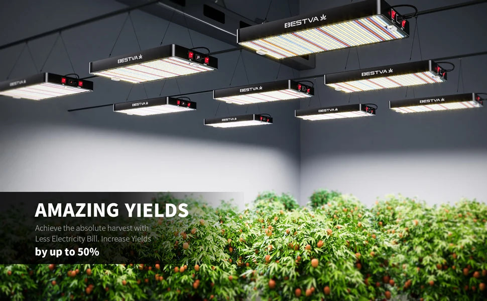 BESTVA grow lights Full Spectrum 1000W lm301h evo quantum board grow led for indoor plants hydroponics growing system greenhouse