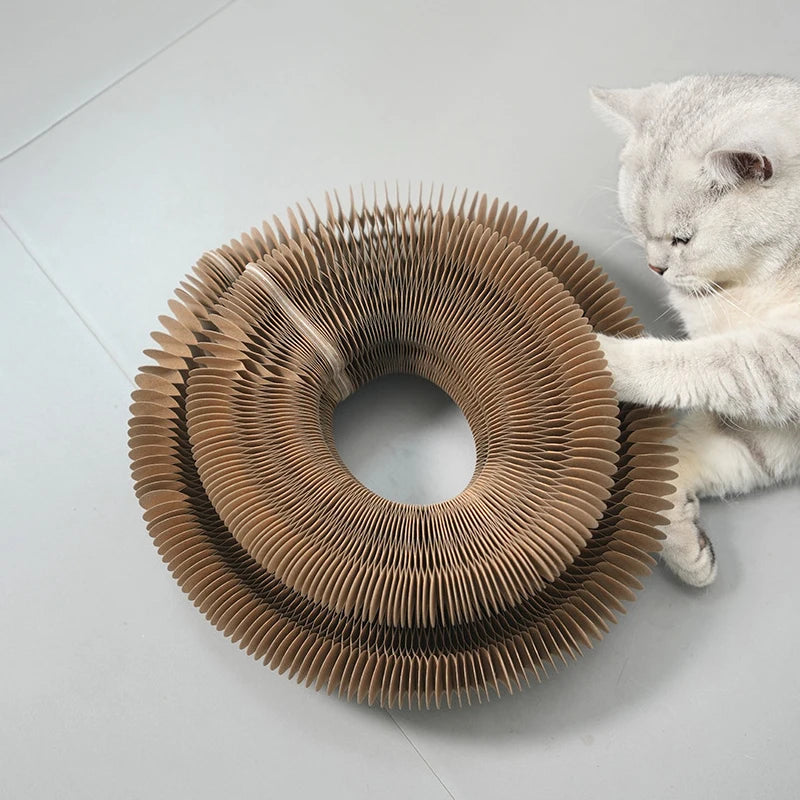 Cat Toy Magic Cat Scratch Organ Board with Ball Cat Grinding Claw Cat Climbing Frame Kitten Round Corrugated Cat Scratching Toy