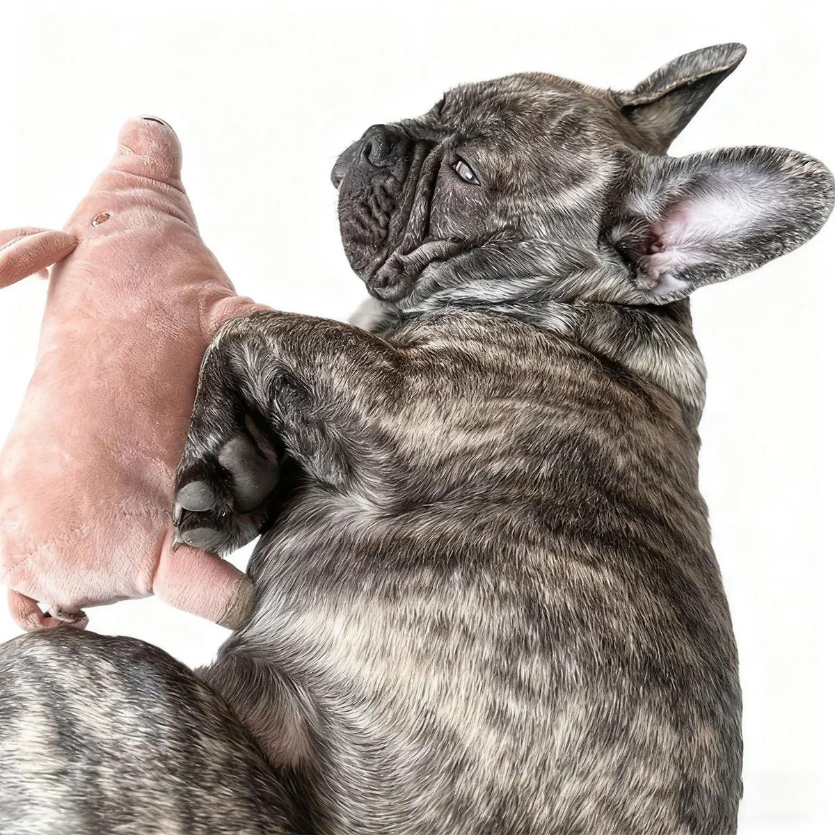 A Cute Pig Design Pet Teeth Grinding Plush Toy, Bite Resistant Interactive Dog Toy Supply