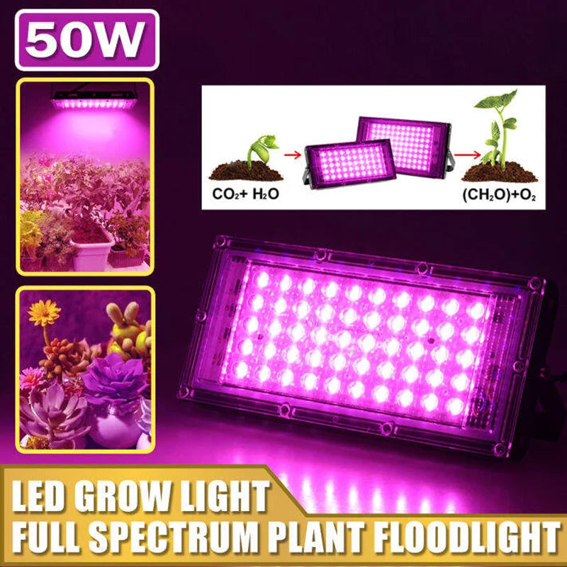 Full Spectrum LED Grow Lights 50/300W Plant Lamp Indoor Plants Phyto Lamp Greenhouse Hydroponic Plant Vegetable Growing Lamp