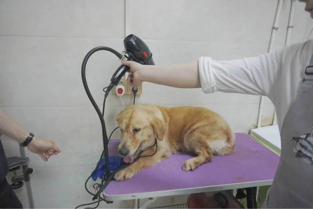 Adjustable Bracket  Water Blowing Machine Pet Hair Dryer Stand Dog Cat Grooming Support Arm Holder Tools Products