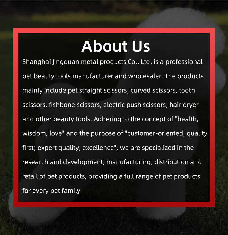 Pet Simulation Hair Beauty Practice Dog Standard Teddy Whole Body Fake Hair Only Pet Grooming Trimming Practice with Model Dog