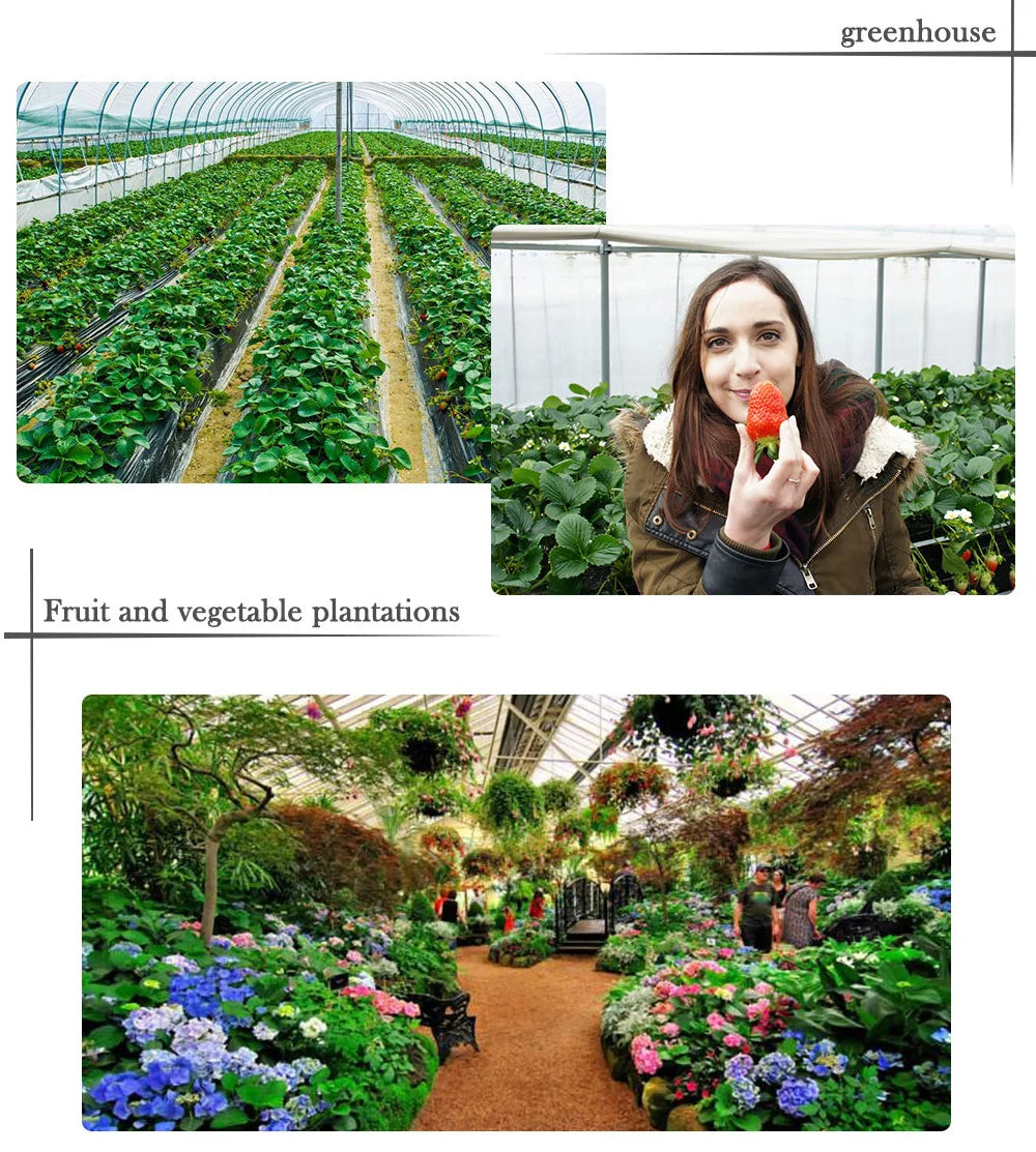 DIYLED Grow Light Dimmable 1500W DOB Full Spectrum Grow Hight PPFD Phytolamp For Flowers Greenhouse grow led Plants Veg Blooming