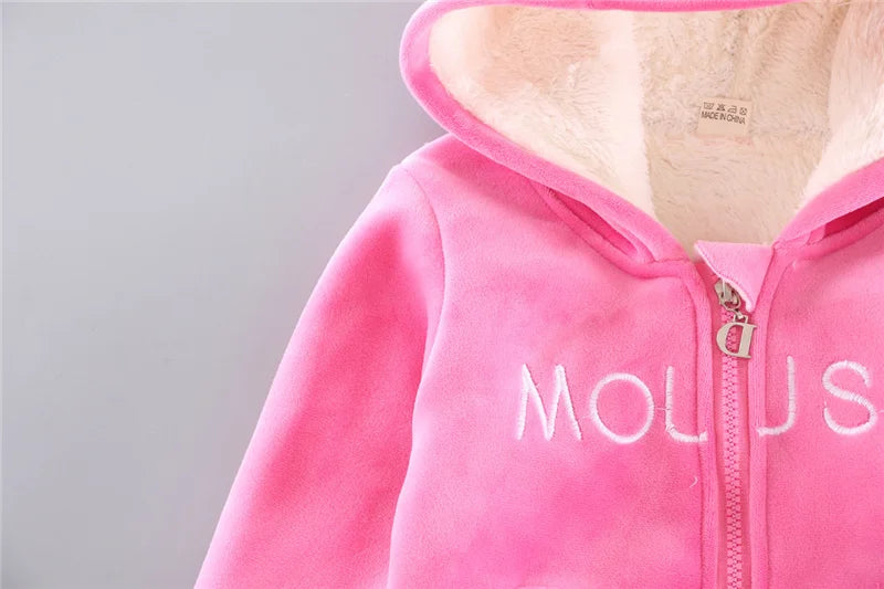 Toddler Girls Clothes Suit 2023 Autumn Winter Kids Costume Hoodie Top+Pant 2pcs Outfit Children Clothing For Boys Sets 1-4 Years