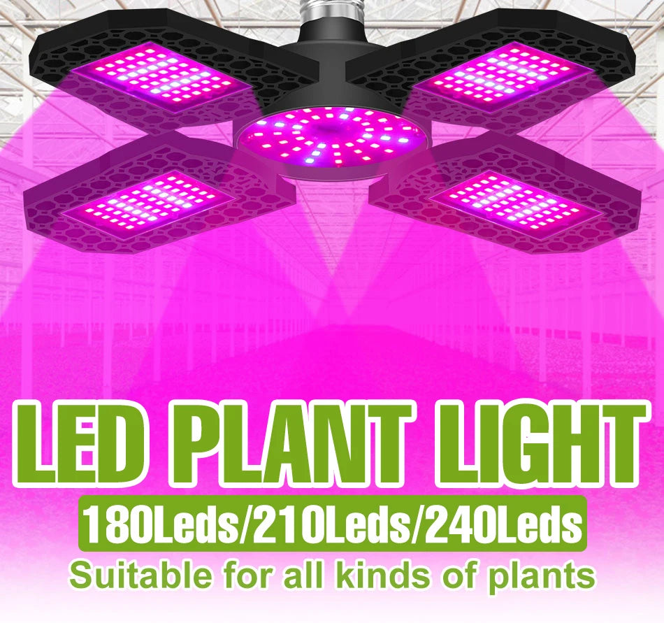 250W E27/E26 LED Growing Lamp Full Spectrum Foldable Plant Fill Lighting Vegetable Fruit Hydroponics Cultivation 100W/150W/200W