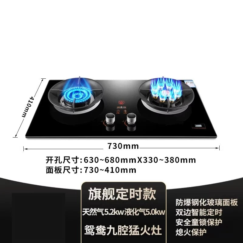 Gas stove, double burner, household LPG tabletop/natural gas stove, high-power built-in gas stove