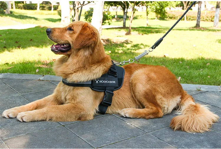 K9 Tactical Dog Harness and Leash Anti-Pull for Golden Retriever Pomeranian Adjustable Pet Walking Rope for Large Dogs