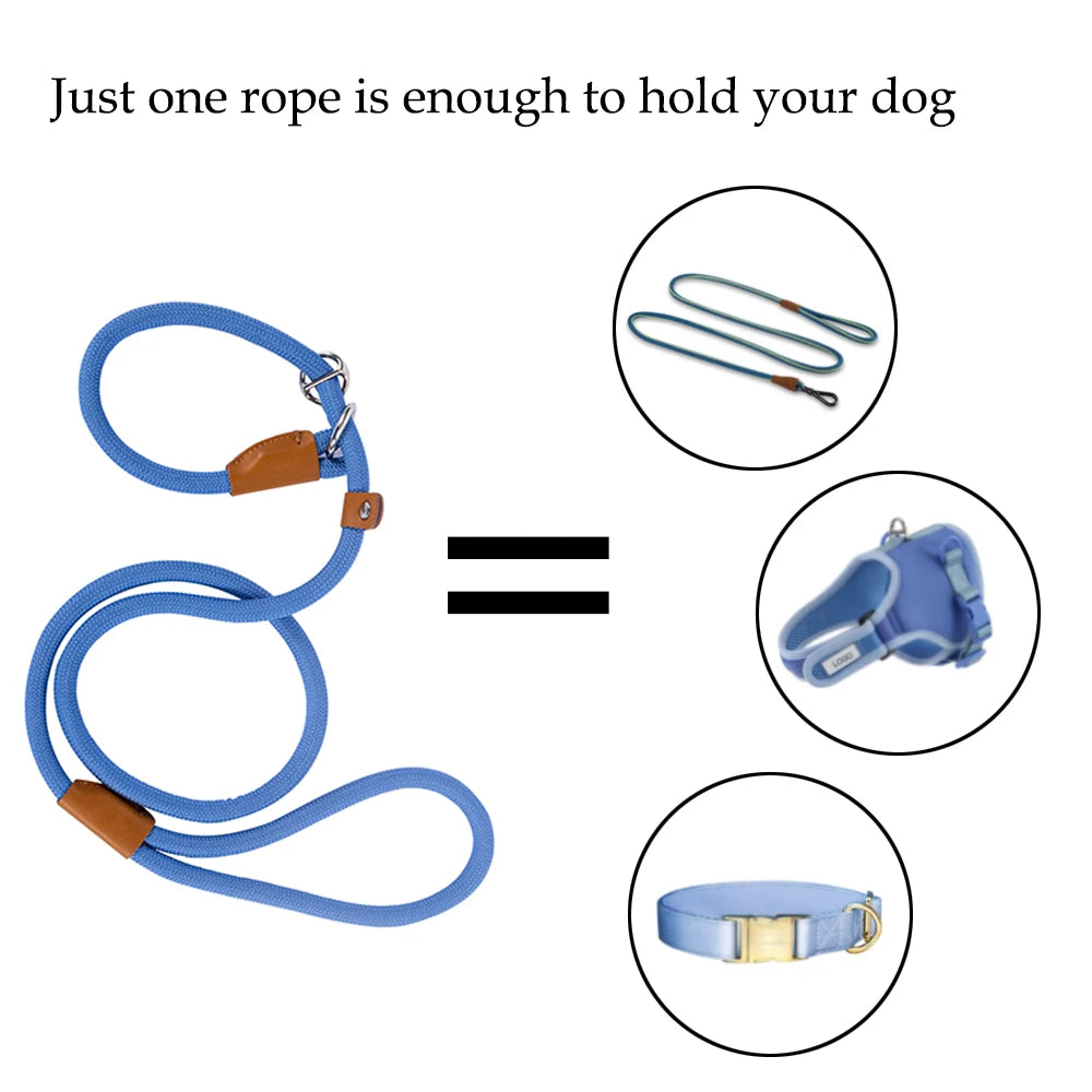 Convenient Durable Nylon Slip Rope Best Dog Leash Collar Adjustable Slide Fastener Loop Medium to Large Scale Leash for Dog Pet