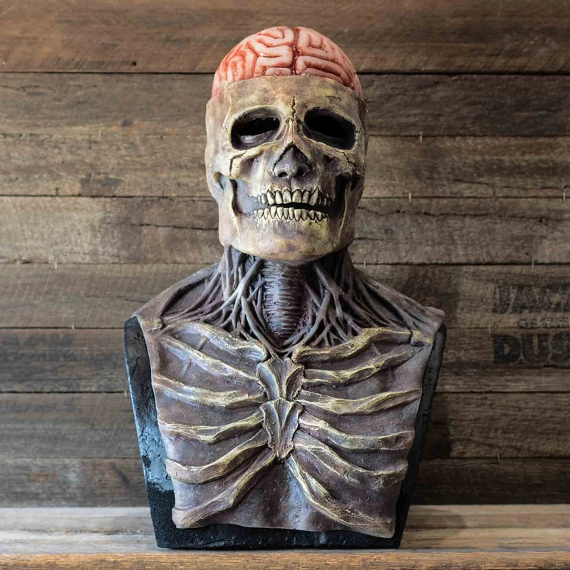 Halloween  Costumes Accessory Props Horror Brain Skull Headgear Cosplay Scary  Head Latex Mask