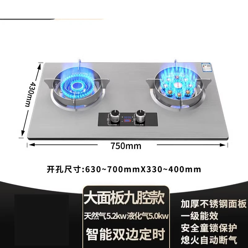 Gas stove, double burner, household LPG tabletop/natural gas stove, high-power built-in gas stove