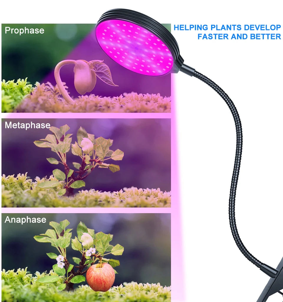 LED Grow Light Full Spectrum Dimmable With Timing Auto On/Off USB 5V Waterproof Plant Hydroponics Cultivation Lamp 1/2/3/4 Heads