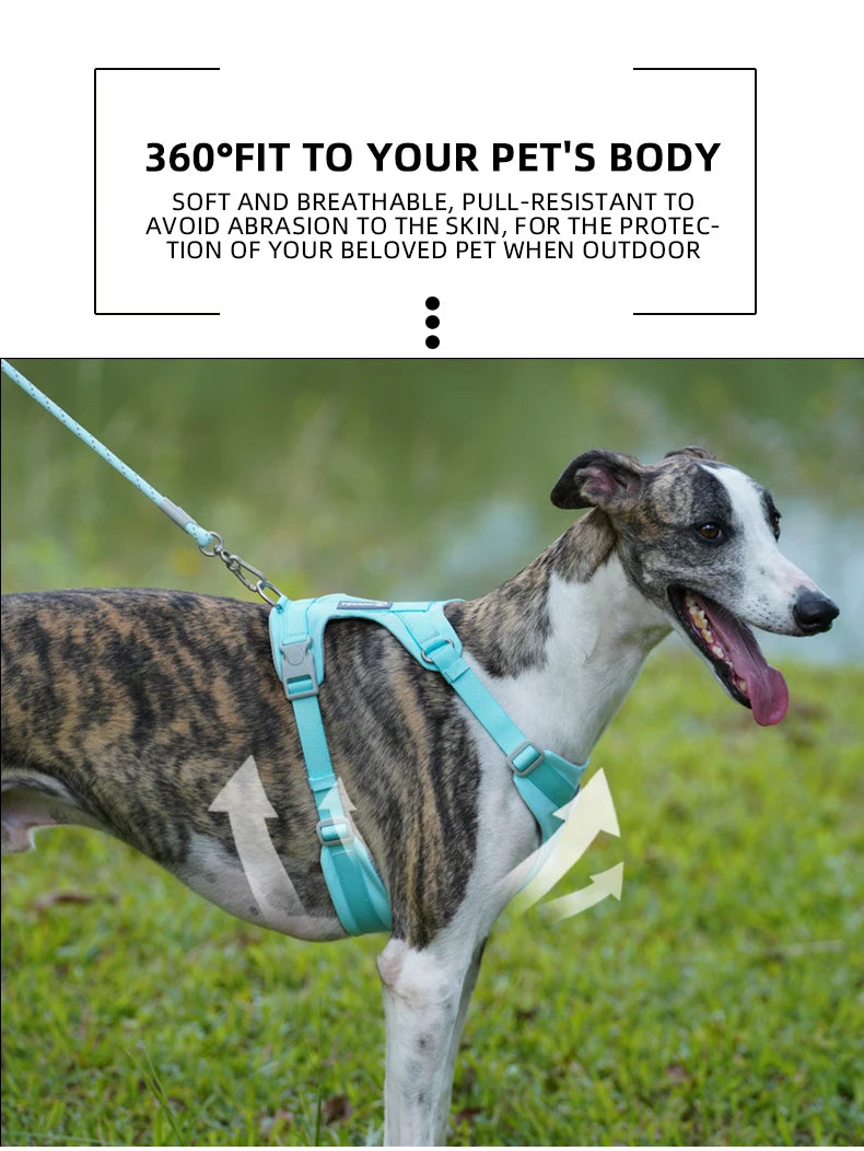 Macaron Series Dog Harness Vest No Pull Nylon Adjustable Safety Dog Harness For Small Medium Large Dog Collar New Free Shipping