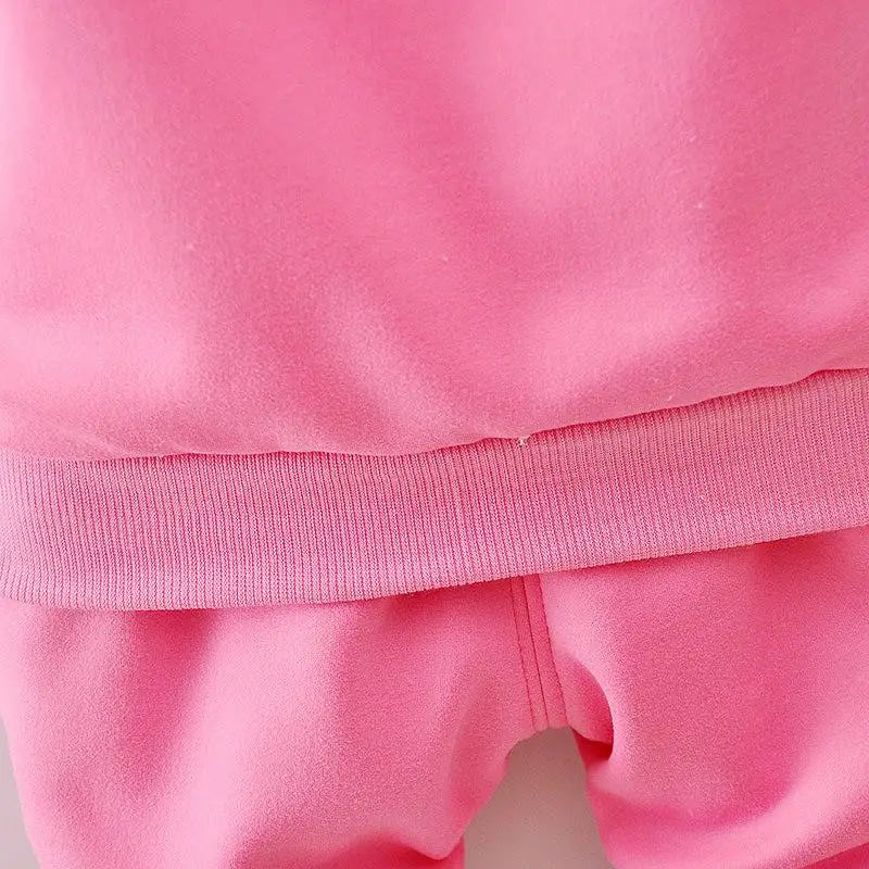 Baby Girls Flower Cartoon Thickk Woolen Autumn Winter Hoodied Jacket Coat Pants Clothing Set Children Kids Warm Clothes Suits