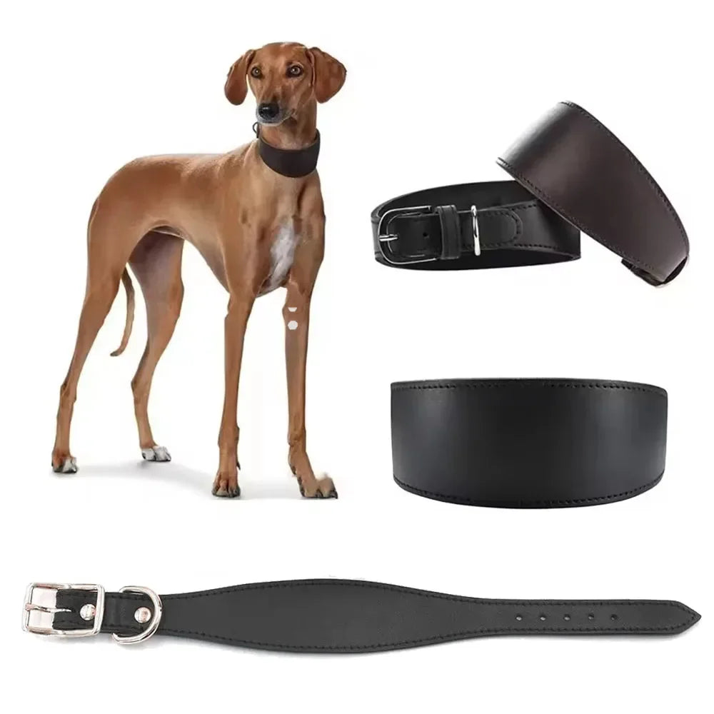 Simple and Adjustable Real Leather Greyhound Collar Wide Huibit Collar Adjustable for Small and Medium Dog Collars Pet Supplies