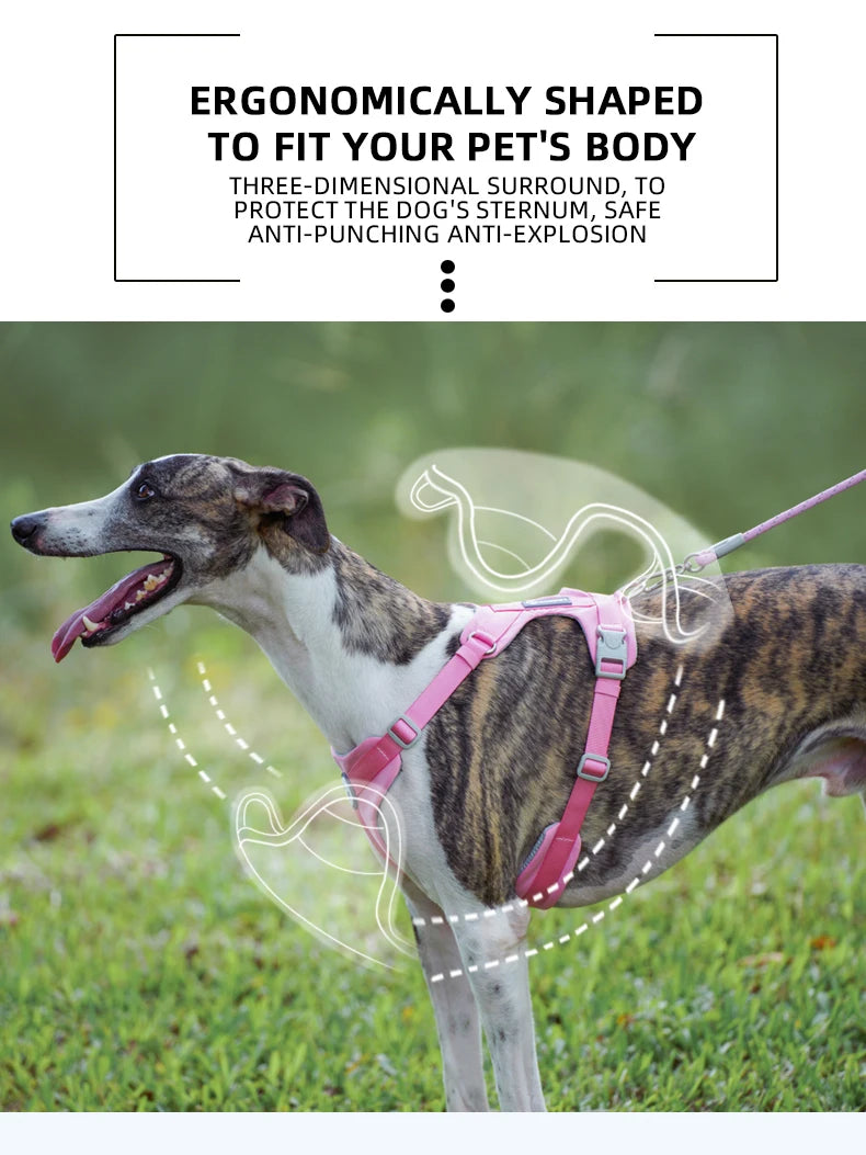 Macaron Series Dog Harness Vest No Pull Nylon Adjustable Safety Dog Harness For Small Medium Large Dog Collar New Free Shipping