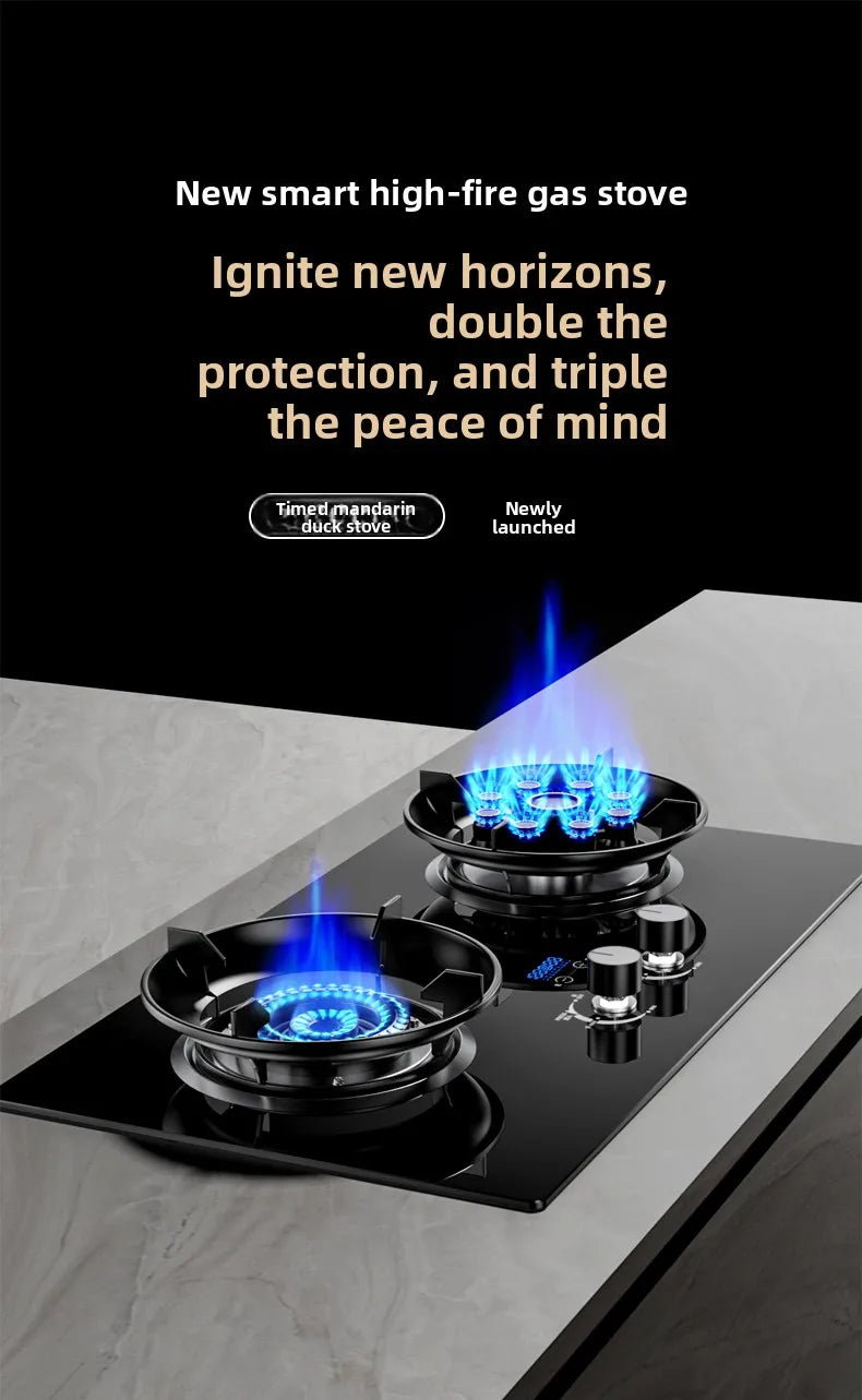 Gas stove, double burner, household LPG tabletop/natural gas stove, high-power built-in gas stove