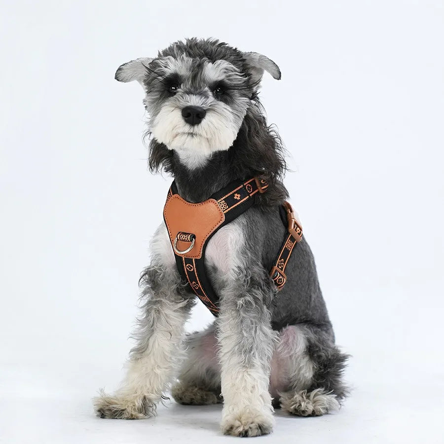 Pet Dog Harness with Durable Webbing  Anti-Deformation Alloy Ring 4 Points Adjustable Breathable Reflective Pet Leash Small Dog