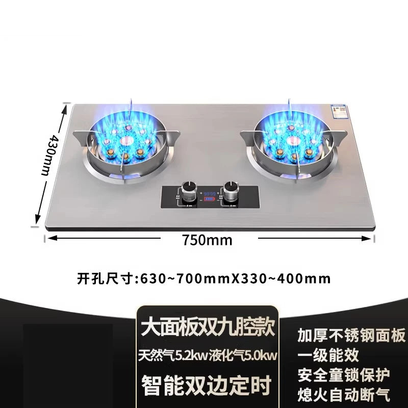 Gas stove, double burner, household LPG tabletop/natural gas stove, high-power built-in gas stove