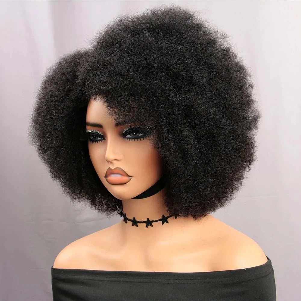 13x5x2 Side T Part Lace Wigs Afro Kinky Curly Short Bob Wig Human Hair Wigs 14 Inch Short Curly Afro Wigs for Woman 250 Density