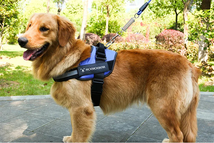 K9 Tactical Dog Harness and Leash Anti-Pull for Golden Retriever Pomeranian Adjustable Pet Walking Rope for Large Dogs