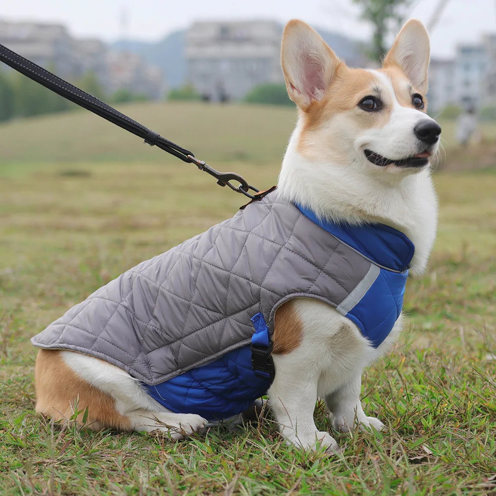 New Winter Pet Dog Clothes Thickened Fighting Dog Clothes Reflective Dog Cotton Clothes Pet Clothes