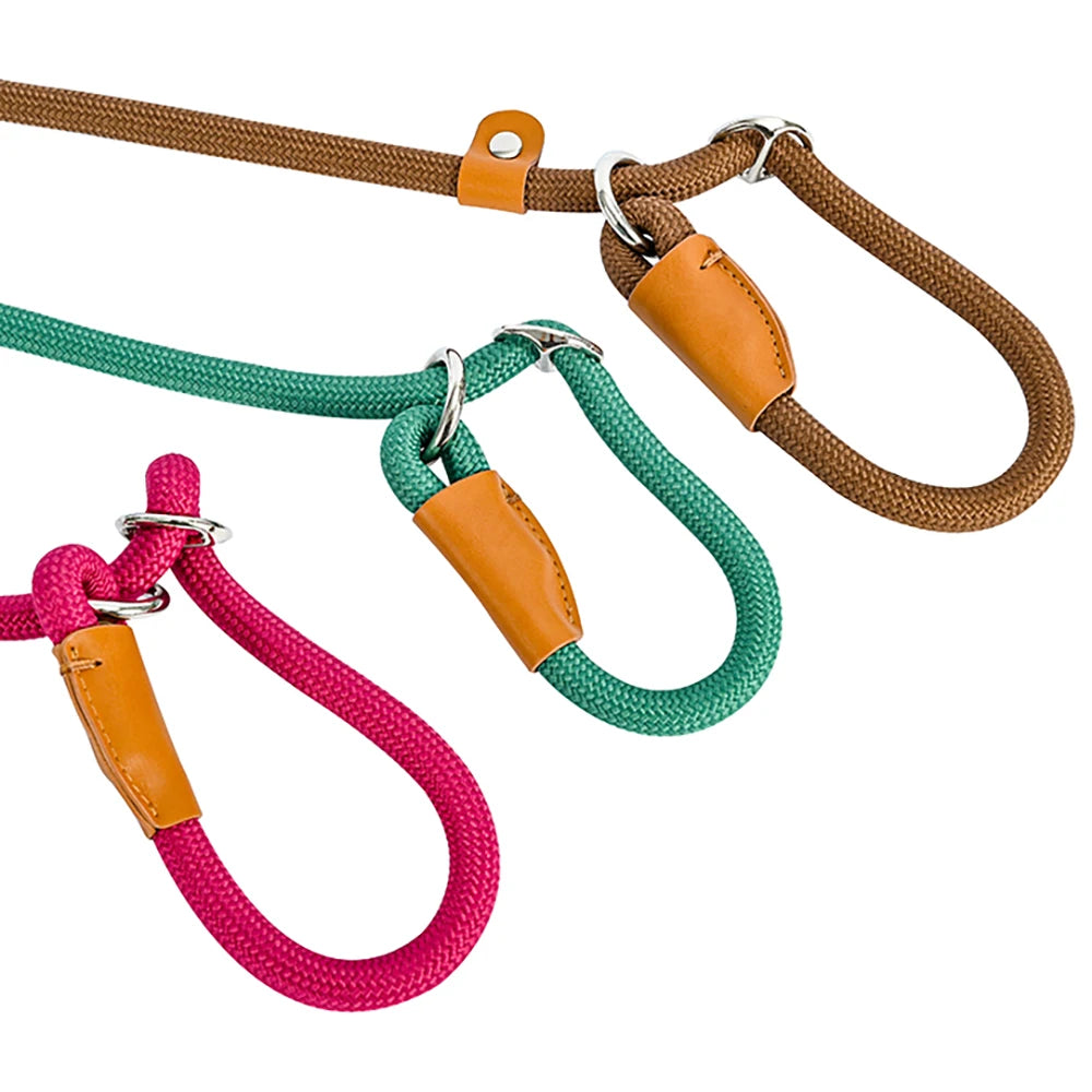 Convenient Durable Nylon Slip Rope Best Dog Leash Collar Adjustable Slide Fastener Loop Medium to Large Scale Leash for Dog Pet