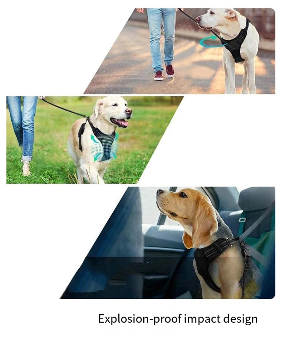 Dog Vest-Style Harness Leash, Pet Vest Leash, Four-Color Optional Nylon Material Dog Harness, Suitable for Medium and Large Dogs, Dog Harness Pet Supplies