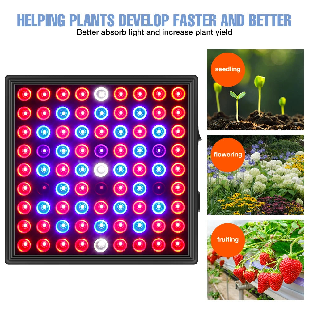 200W LED Plant Grow Light Full Spectrum Indoor Hydroponics Fill Lamp AC100-277V Greenhouse Vegetable Fruits Cultivation Lighting