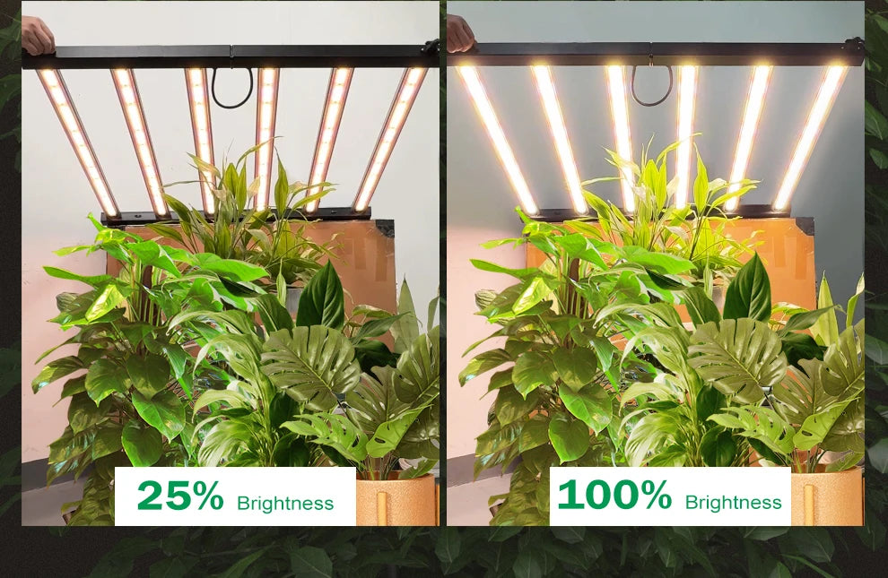 Full Spectrum LED Grow Light 360W 720W AC100-277V 660nm 730nm 395nm LM281B High PPFD Growth Lamp For Greenhouse Plants