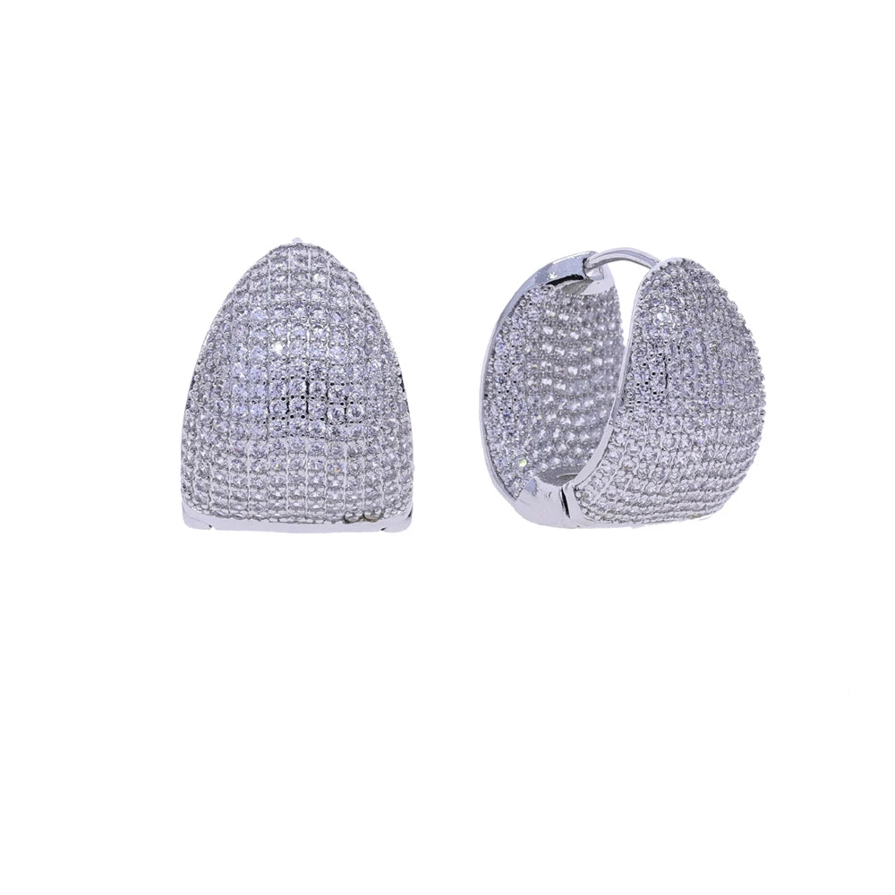 2025 New Arrived Classic Women Fashion Jewelry Full Micro Paved Sparking CZ Curved Waterdrop Shaped Huggie Hoop Earring