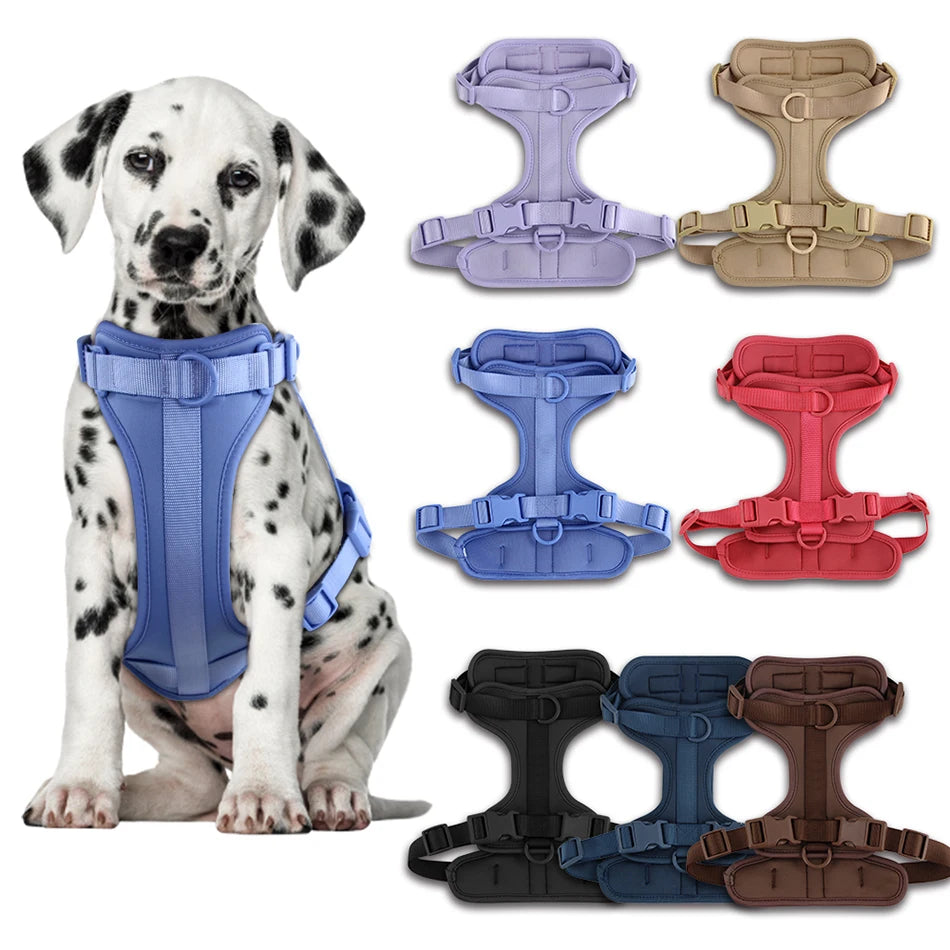 New Breathable Dog Harness Adjustable Chest Strap Outdoor Walk Leisure Harness for Small Dogs Medium Pet Accessories