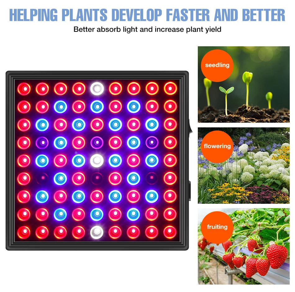 100W 50W LED Grow Light Full Spectrum Plant Hydroponics Cultivation Lamp IR UR For Indoor Flower Cactus Succulent Fill Lighting