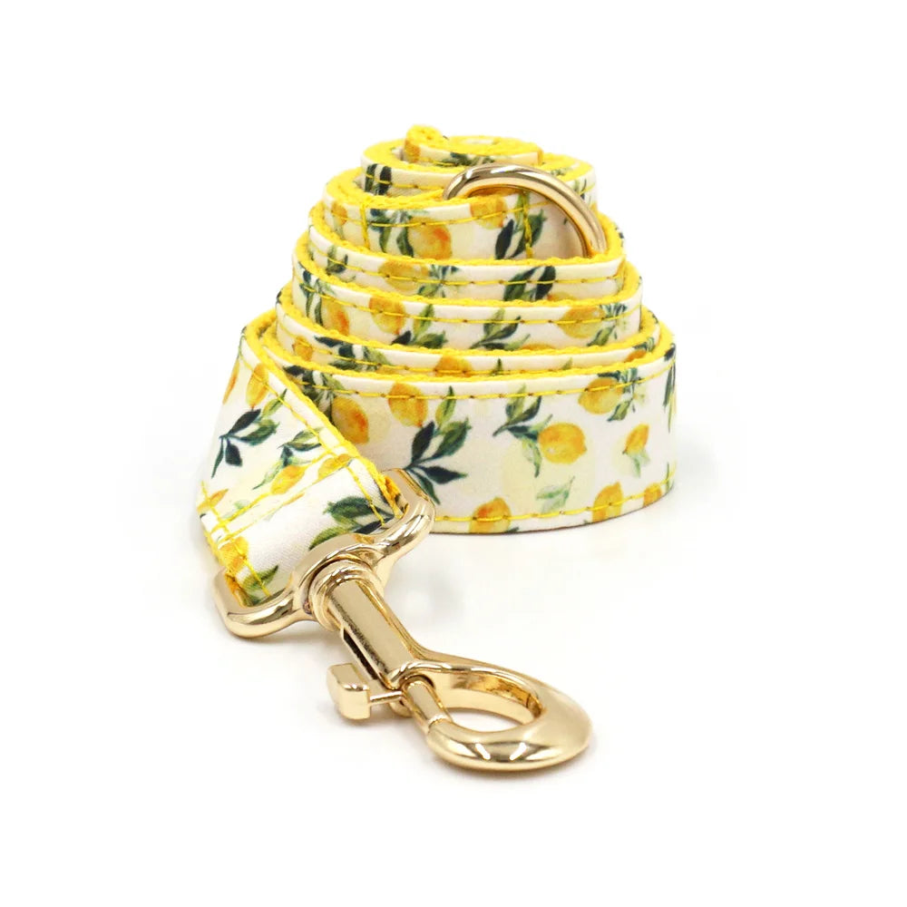 Personalized Pet Collar for Cats Small Medium Large Dogs Lemon Printing Luxury Designer Bow Dog Collar & Leash Set with Poop Bag