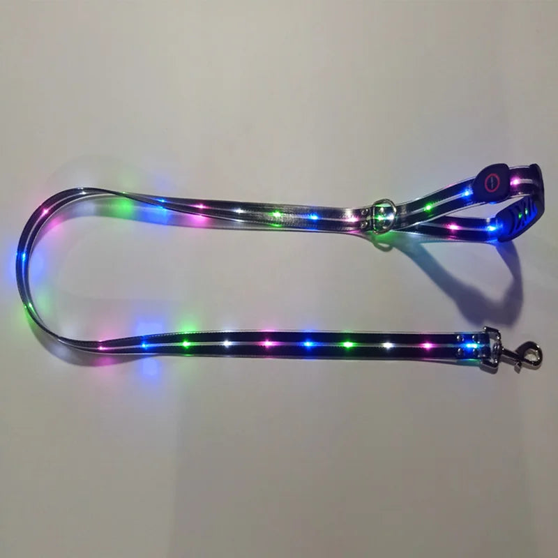 Pet Light-up Collar Leash LED Flashing Collar USB Charging Dog Walking Pulling Belt Adjustable Dog Collar Anti-Lost Pet Supplies