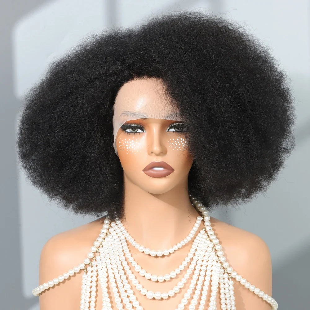 13x5x2 Side T Part Lace Wigs Afro Kinky Curly Short Bob Wig Human Hair Wigs 14 Inch Short Curly Afro Wigs for Woman 250 Density