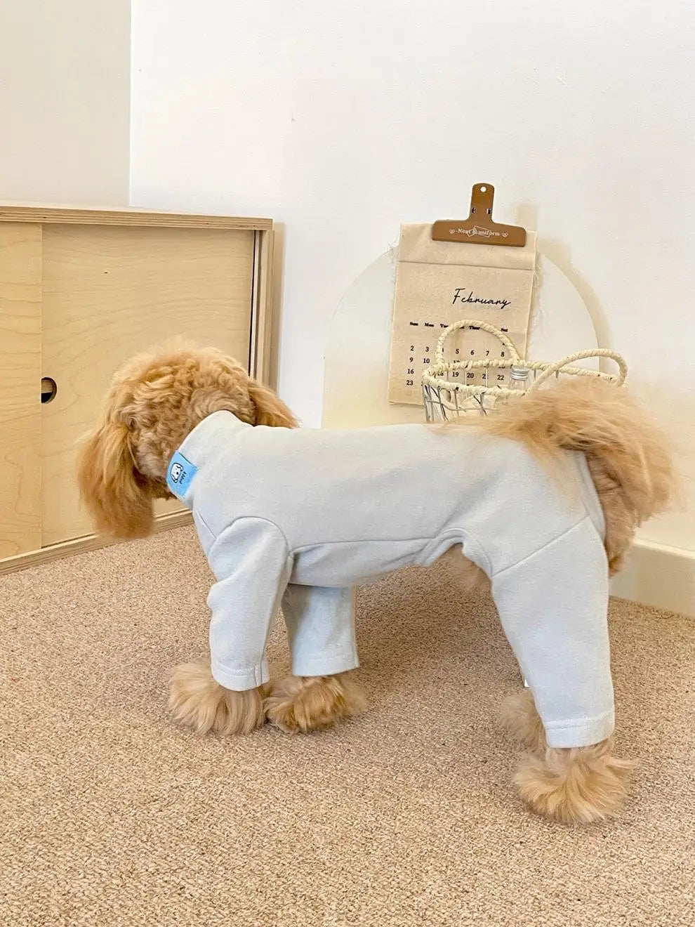 Elastic Pet Jumpsuit Four Legged Pants For Small Medium Dogs Cream Color Cozy Home Base Shirt Winter Warm Dog Clothes