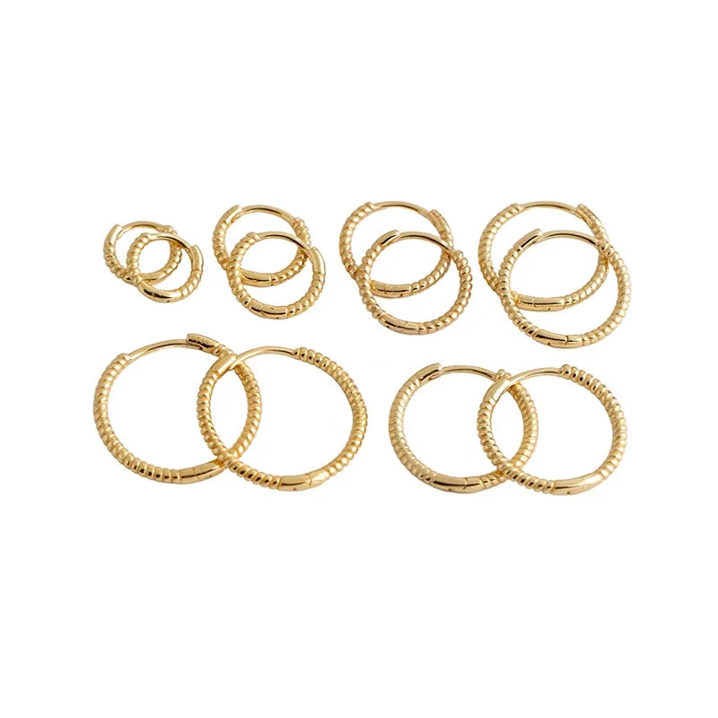 Real 925 Sterling Silver Twisted Rope Shape Hoop Earrings for Women Minimalist Fine Jewelry Light Luxury Accessories