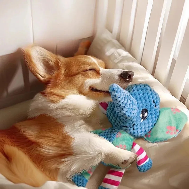 1/2 Pcs Pet Voice Toys Dog Plush Teeth Grinding Anti Bite Interactive Cat and Dog Supplies Self Hi Training Toys