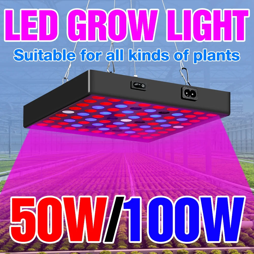 100W 50W LED Grow Light Full Spectrum Plant Hydroponics Cultivation Lamp IR UR For Indoor Flower Cactus Succulent Fill Lighting