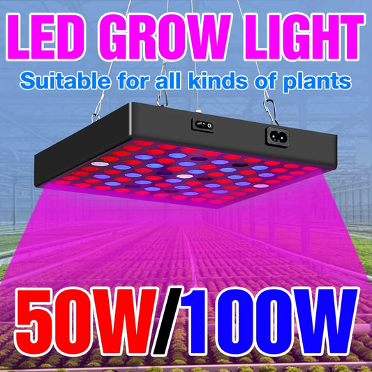 100W 50W LED Grow Light Full Spectrum Plant Hydroponics Cultivation Lamp IR UR For Indoor Flower Cactus Succulent Fill Lighting