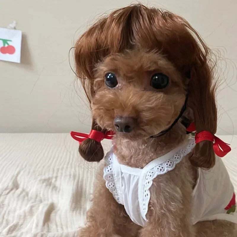 Funny Pet Cosplay Dog Wig Cat Grooming Supplies Fashion Headwear Halloween Curly Hair Straight Hair Cat Accessories Perros