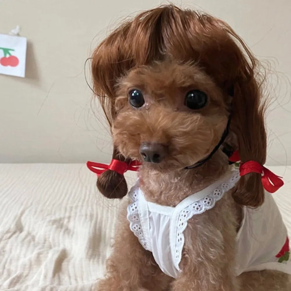 Funny Pet Cosplay Dog Wig Cat Grooming Supplies Fashion Headwear Halloween Curly Hair Straight Hair Cat Accessories Perros