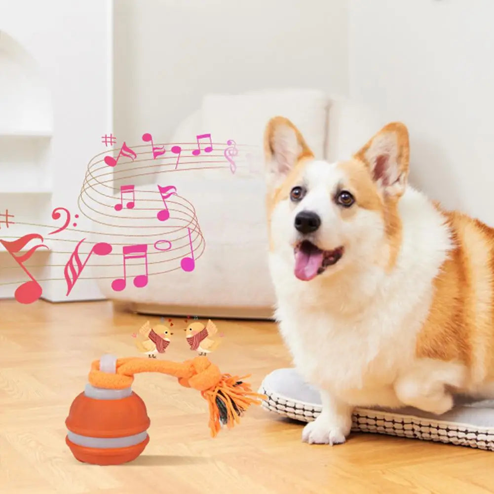 Pet Ball for Dogs Interactive Toys Motion Activate Rolling Ball for Puppy/Small Dogs Automatic Moving Toy USB Rechargeable Toy