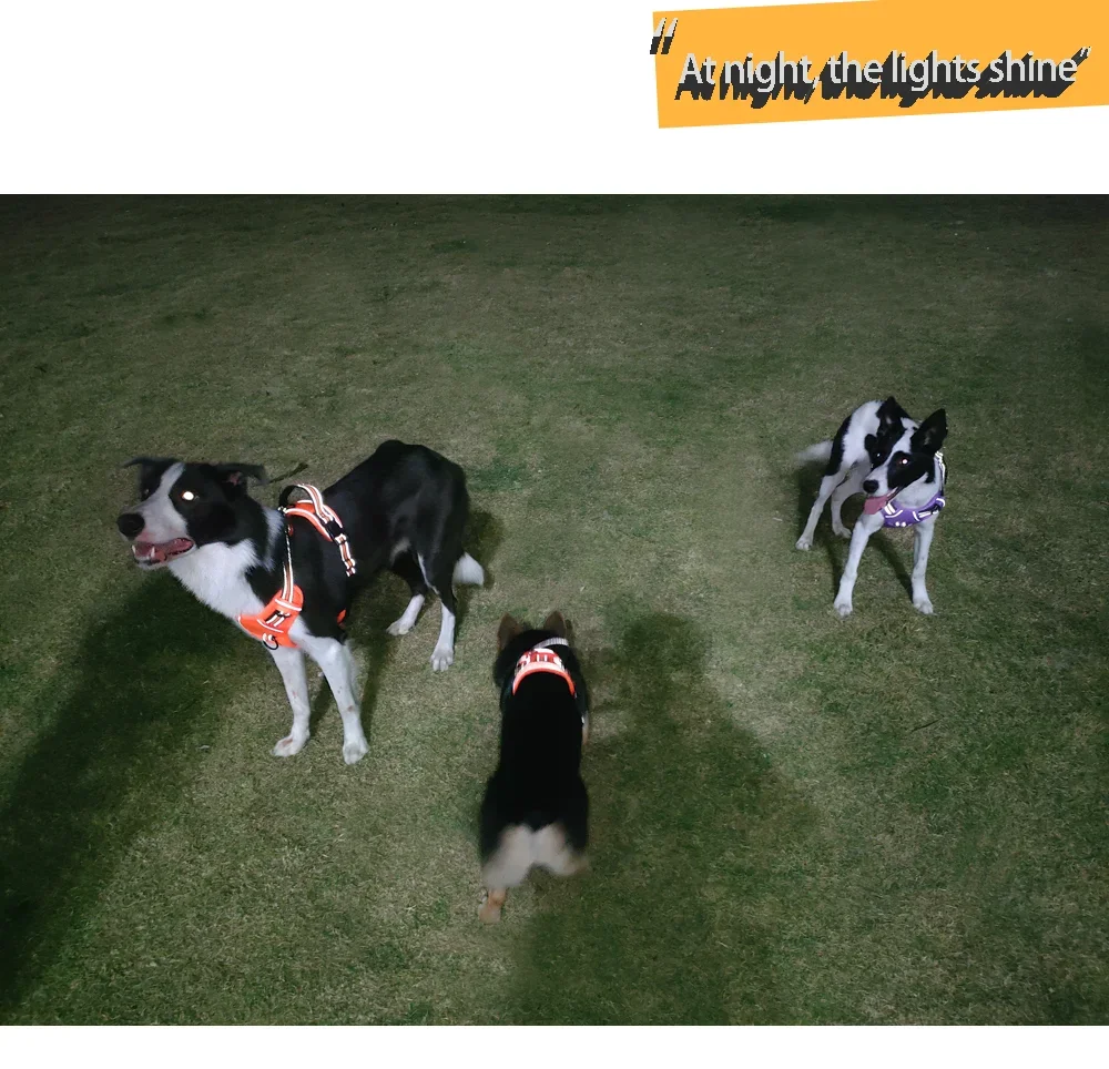 No Pull Dog Harness Front Clip Heavy Duty Reflective Easy Control Handle for Large Dog Walking