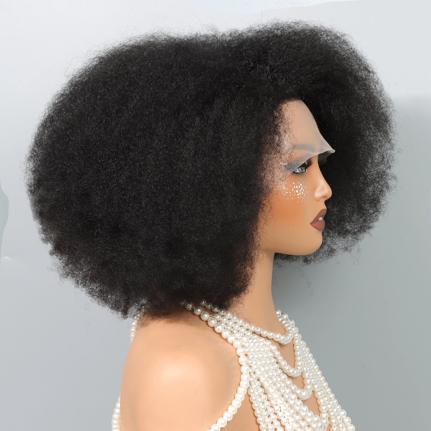 13x5x2 Side T Part Lace Wigs Afro Kinky Curly Short Bob Wig Human Hair Wigs 14 Inch Short Curly Afro Wigs for Woman 250 Density