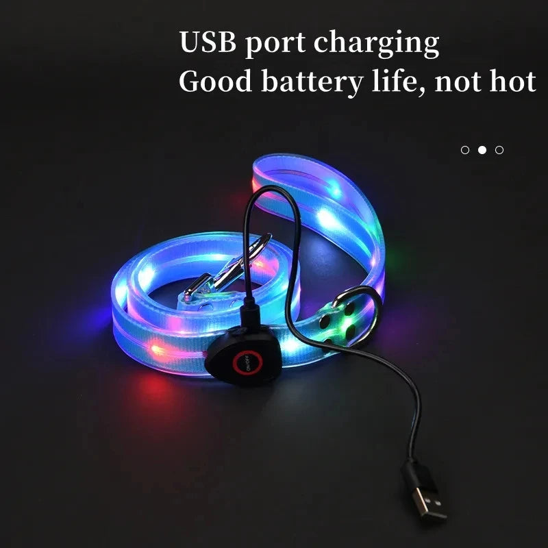 Pet Light-up Collar Leash LED Flashing Collar USB Charging Dog Walking Pulling Belt Adjustable Dog Collar Anti-Lost Pet Supplies