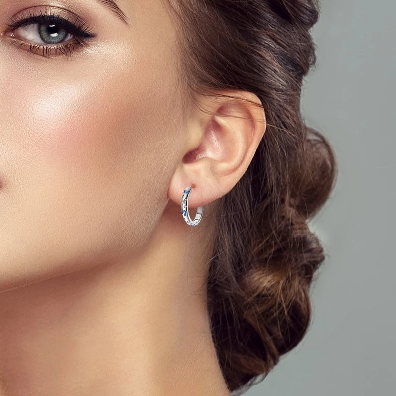 925 Sterling Silver Butterfly Earrings Women Sparkling Zirconium Hoop Earring For Anniversary Wedding Jewelry Gifts