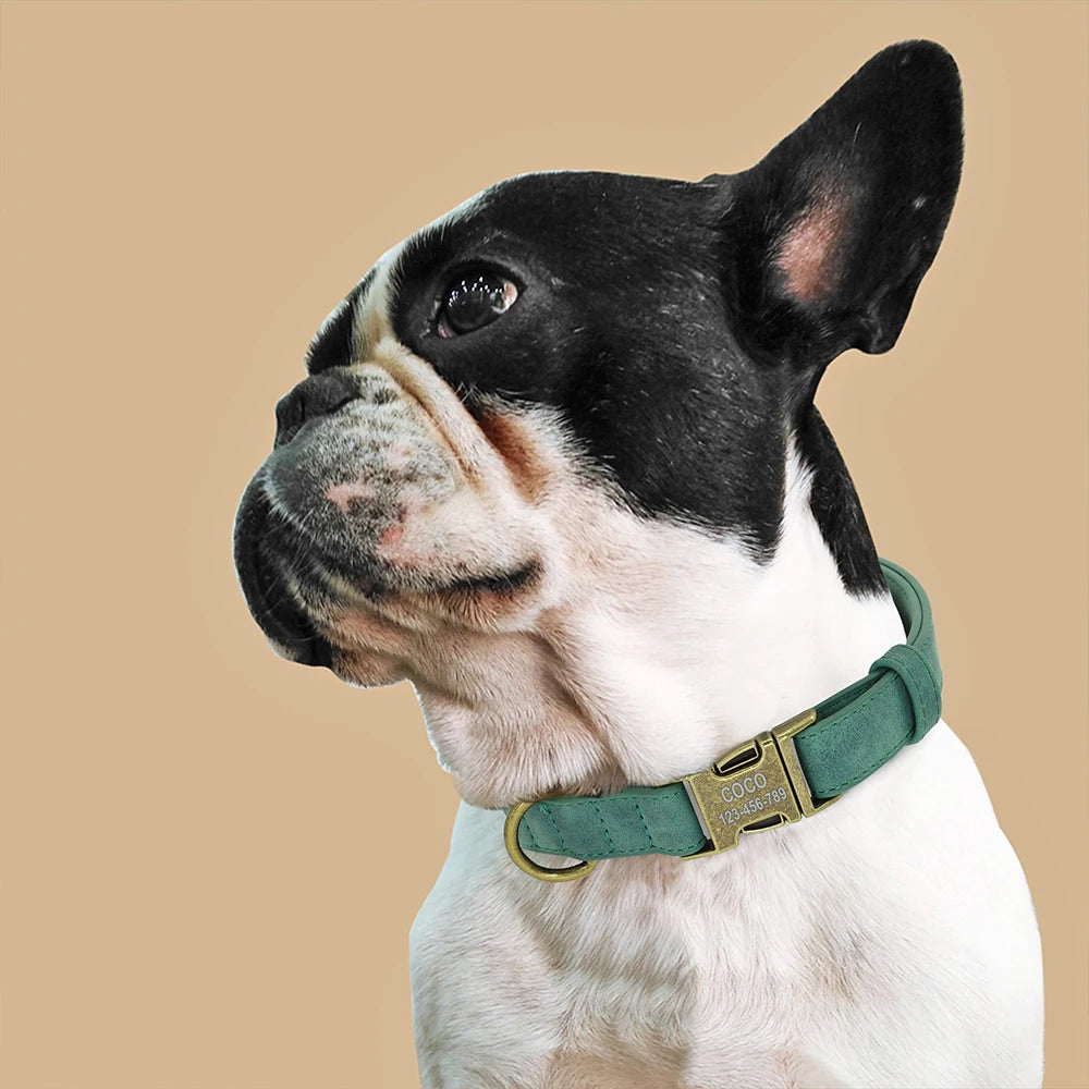 Personalized Dog Collar Customized PU Leather Dogs Collars Pet Name ID Buckle Necklace for Small Medium Large Dogs Pitbull Pug