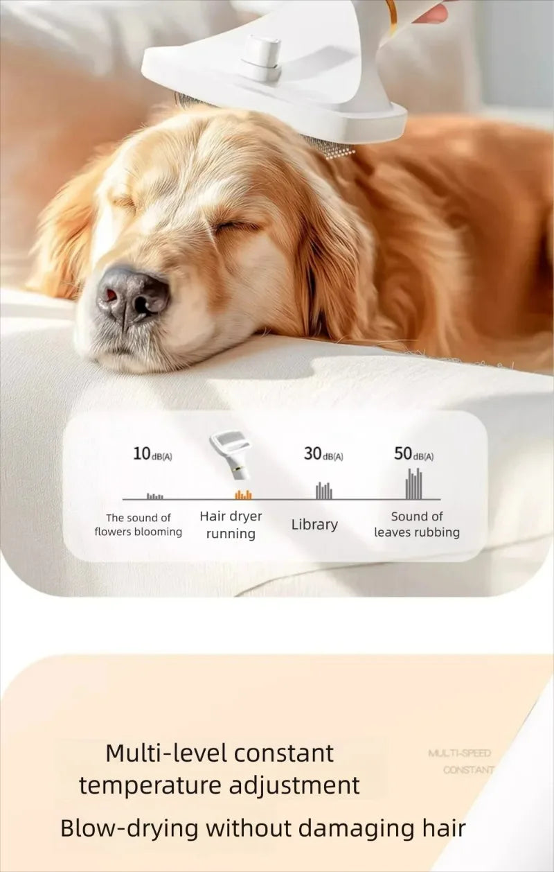 Small Dog Dryer Pet Heating Hair Puppy Dryer Cat Hair Blow and Comb 2in1 Hair Dryer for Small Middle Dogs Quick Drying